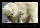 Tierkalender Fotokalender 2026 - 5