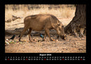 Tierkalender Fotokalender 2026 - 8