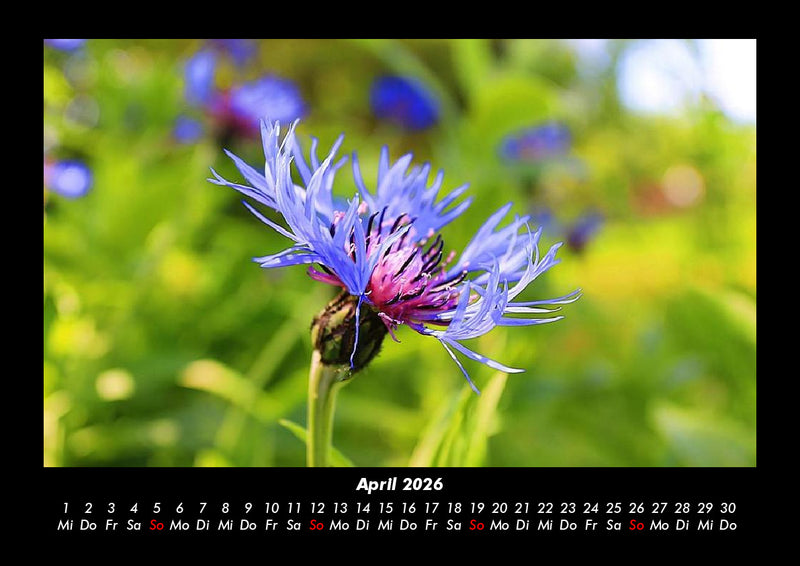 Bilder aus der Natur Fotokalender 2026 - 4