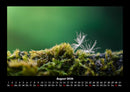 Bilder aus der Natur Fotokalender 2026 - 8