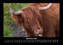 Kuhkalender Fotokalender 2026 - 9