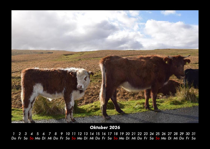 Kuhkalender Fotokalender 2026 - 10