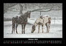 Pferdetraum Fotokalender 2026 - 10