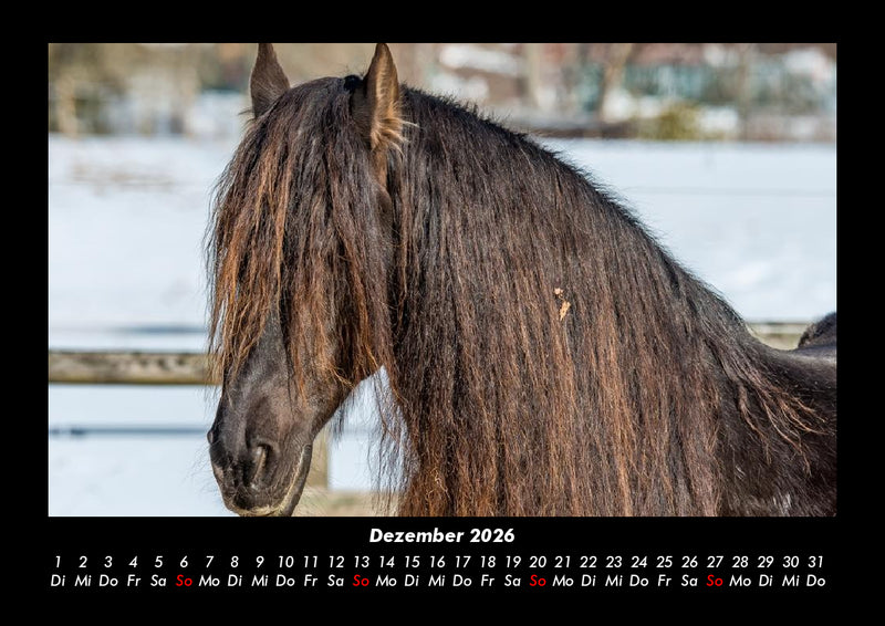 Pferdetraum Fotokalender 2026 - 12