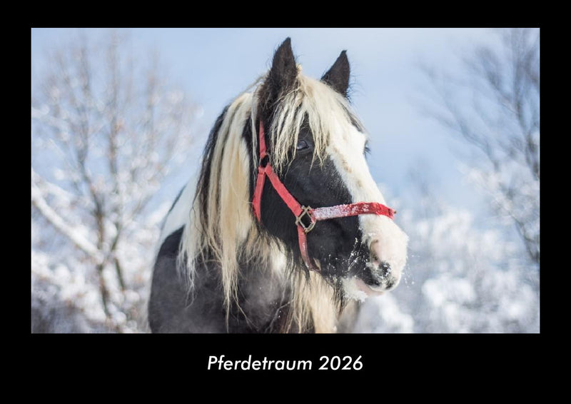 Pferdetraum Fotokalender 2026 - Hauptbild