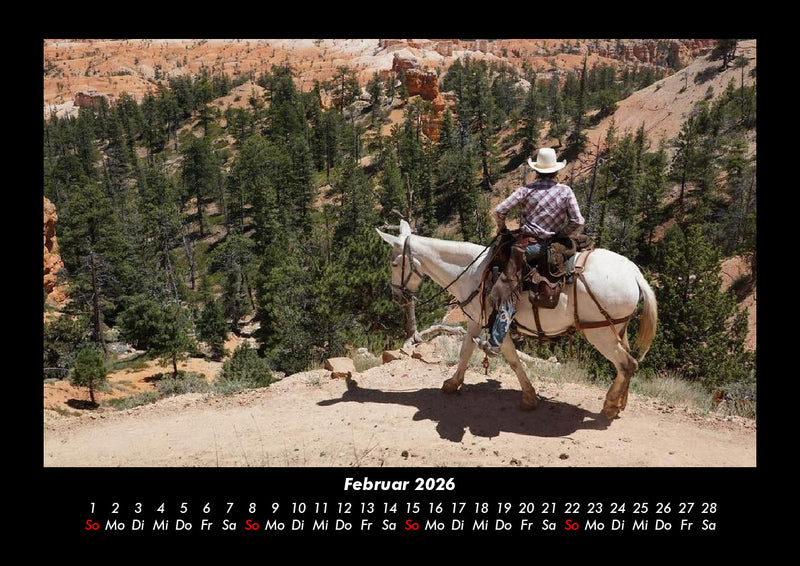 Pferdetraum Fotokalender 2026 - 2
