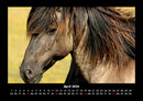 Pferdetraum Fotokalender 2026 - 4