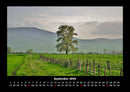 Bäume Fotokalender 2026 - 9