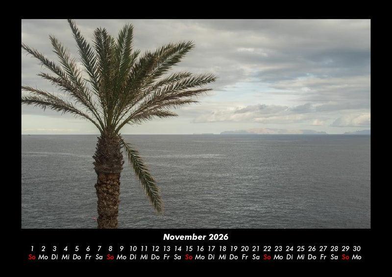 Bäume Fotokalender 2026 - 11
