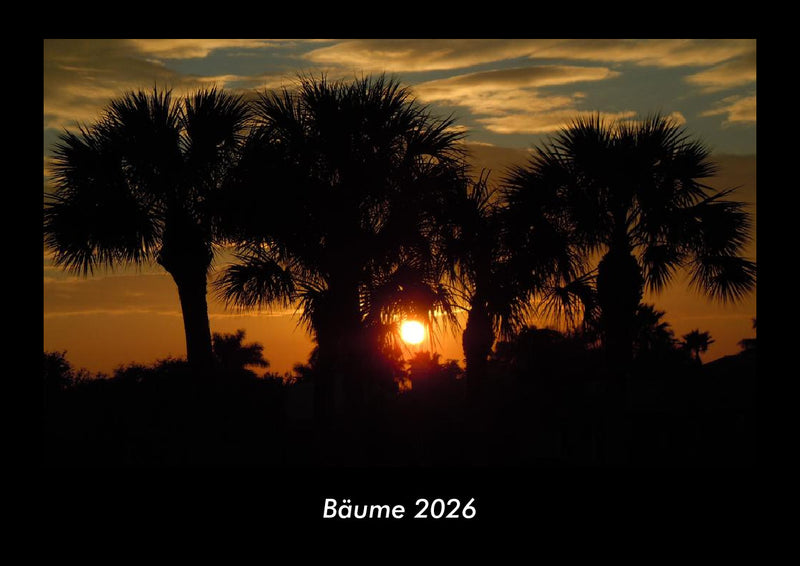 Bäume Fotokalender 2026 - Hauptbild