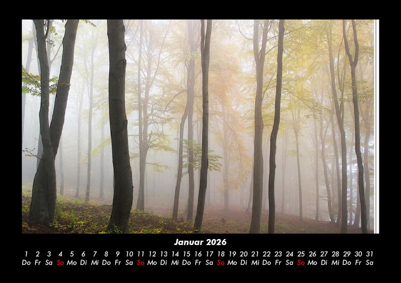 Bäume Fotokalender 2026 - 1