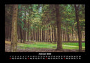 Bäume Fotokalender 2026 - 2