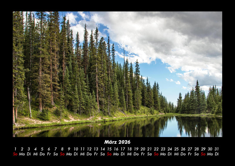 Bäume Fotokalender 2026 - 3