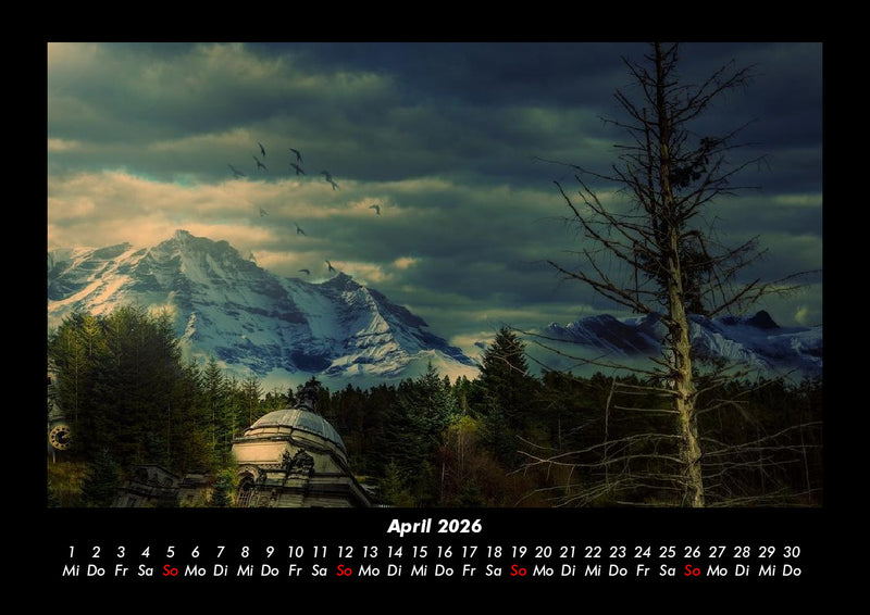 Bäume Fotokalender 2026 - 4
