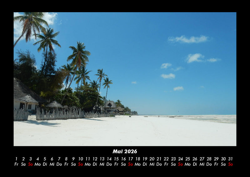 Bäume Fotokalender 2026 - 5