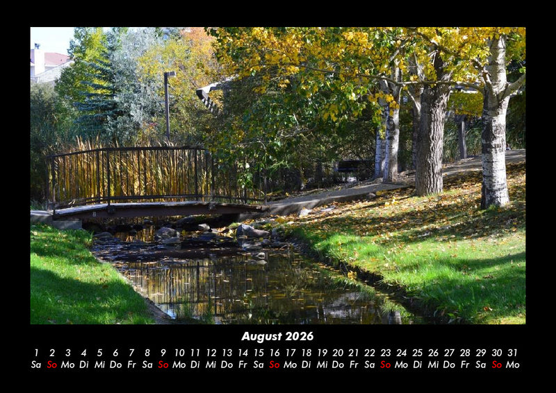 Bäume Fotokalender 2026 - 8