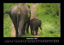 Der Elefantenkalender Fotokalender 2026 - 9