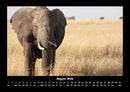 Der Elefantenkalender Fotokalender 2026 - 8