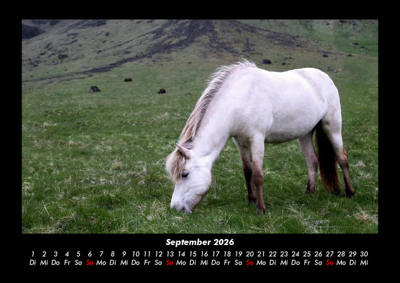 Die Welt der Pferde Fotokalender 2026 - 9