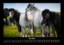 Die Welt der Pferde Fotokalender 2026 - 7