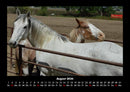 Die Welt der Pferde Fotokalender 2026 - 8