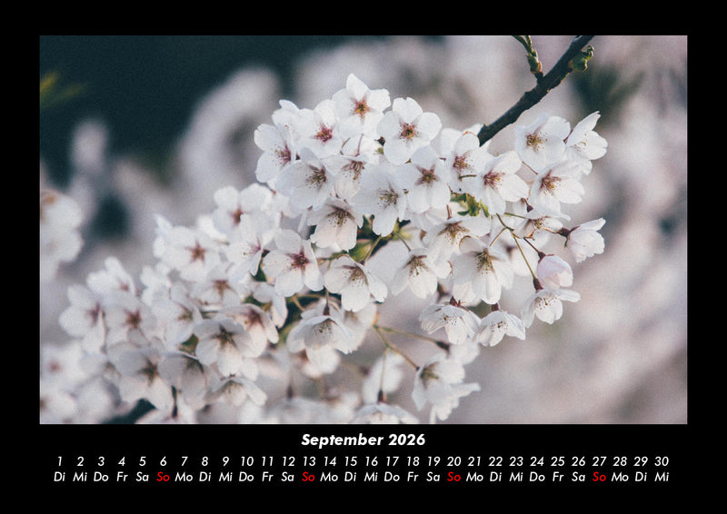 Blumenkalender Fotokalender 2026 - 9