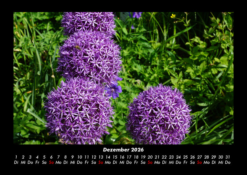 Blumenkalender Fotokalender 2026 - 12
