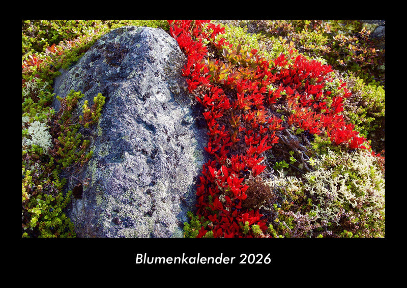 Blumenkalender Fotokalender 2026 - Hauptbild