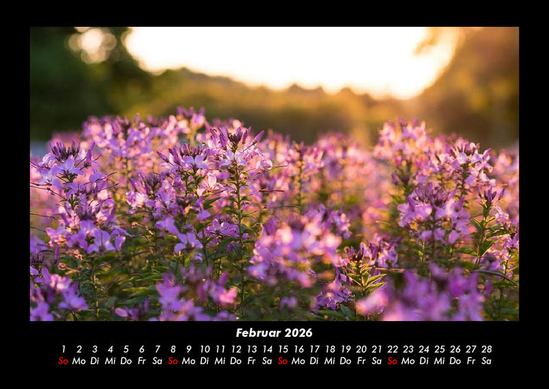 Blumenkalender Fotokalender 2026 - 2