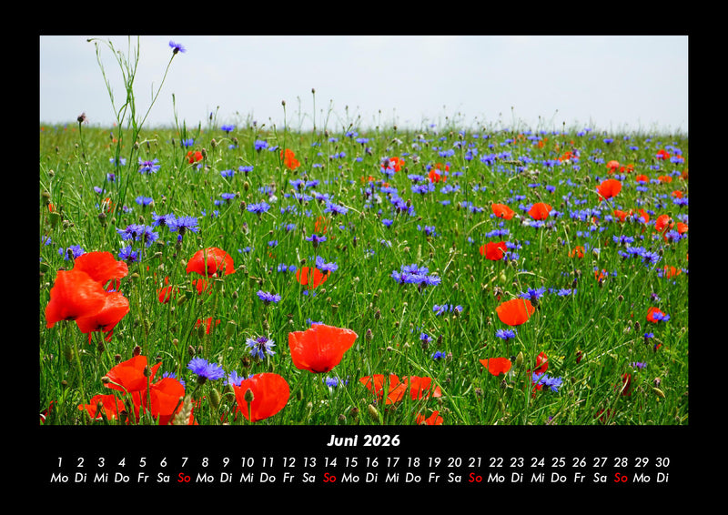 Blumenkalender Fotokalender 2026 - 6
