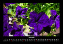 Blumenkalender Fotokalender 2026 - 7