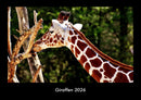 Giraffen Fotokalender 2026 - Hauptbild