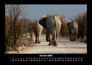 Elefanten Fotokalender 2026 - 2
