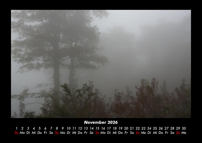 Waldzauber Fotokalender 2026 - 11