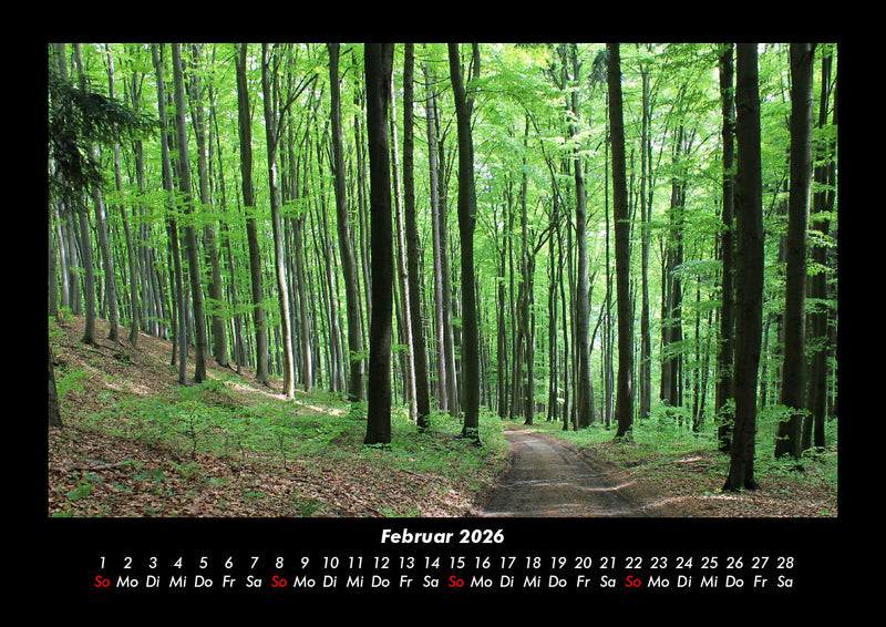 Waldzauber Fotokalender 2026 - 2