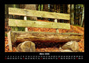 Waldzauber Fotokalender 2026 - 3