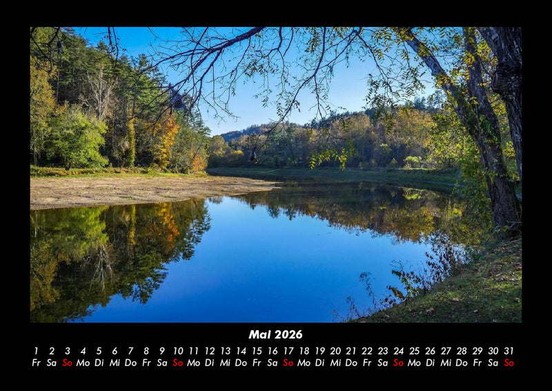 Waldzauber Fotokalender 2026 - 5