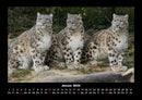 Welt der Tiere Fotokalender 2026 - 1