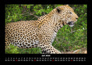 Welt der Tiere Fotokalender 2026 - 7