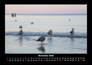 Möwen Fotokalender 2026 - 11