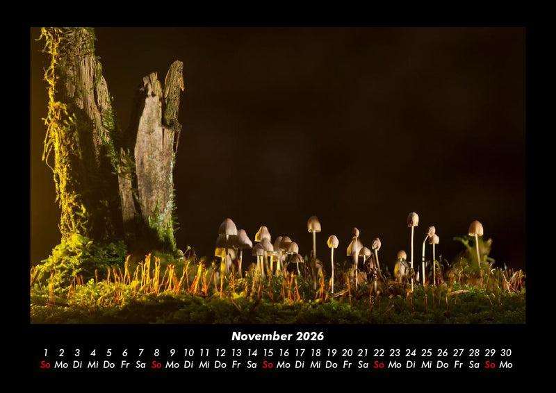 Naturlandschaften Fotokalender 2026 - 11
