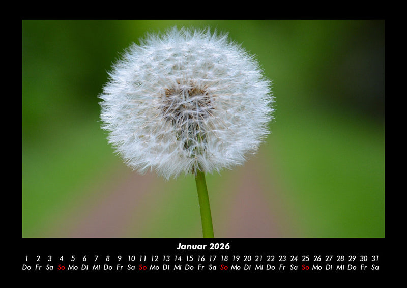 Naturlandschaften Fotokalender 2026 - 1