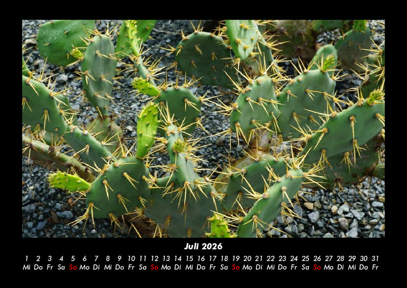 Naturlandschaften Fotokalender 2026 - 7
