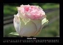 Blumenträume Fotokalender 2026 - 10