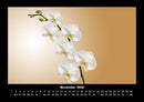 Blumenträume Fotokalender 2026 - 11