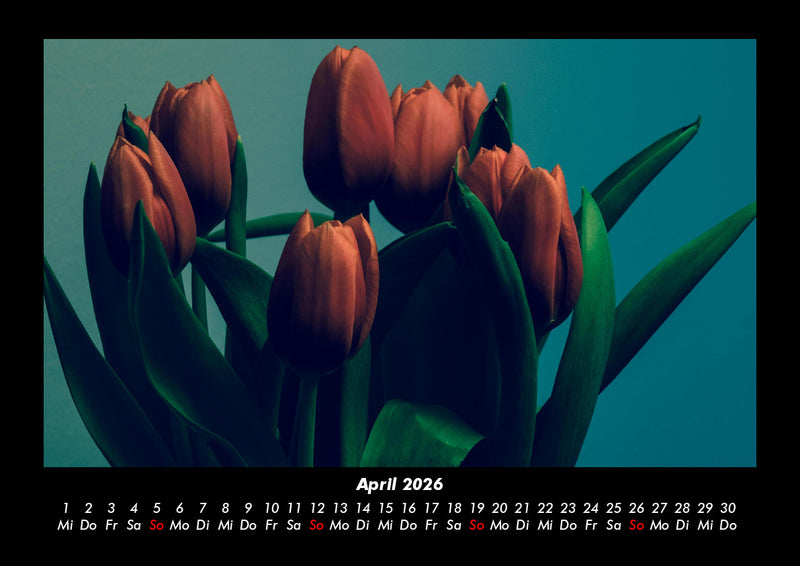 Blumenträume Fotokalender 2026 - 4