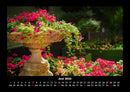 Blumenträume Fotokalender 2026 - 6