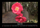Blumenträume Fotokalender 2026 - 8