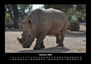 Der Tierkalender Fotokalender 2026 - 2