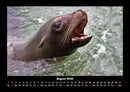 Der Tierkalender Fotokalender 2026 - 8